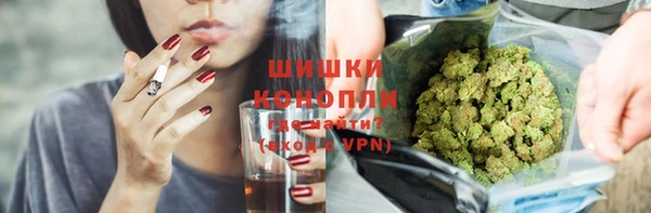 дживик Белокуриха