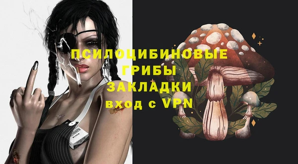 дживик Белокуриха