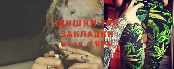 дживик Белокуриха