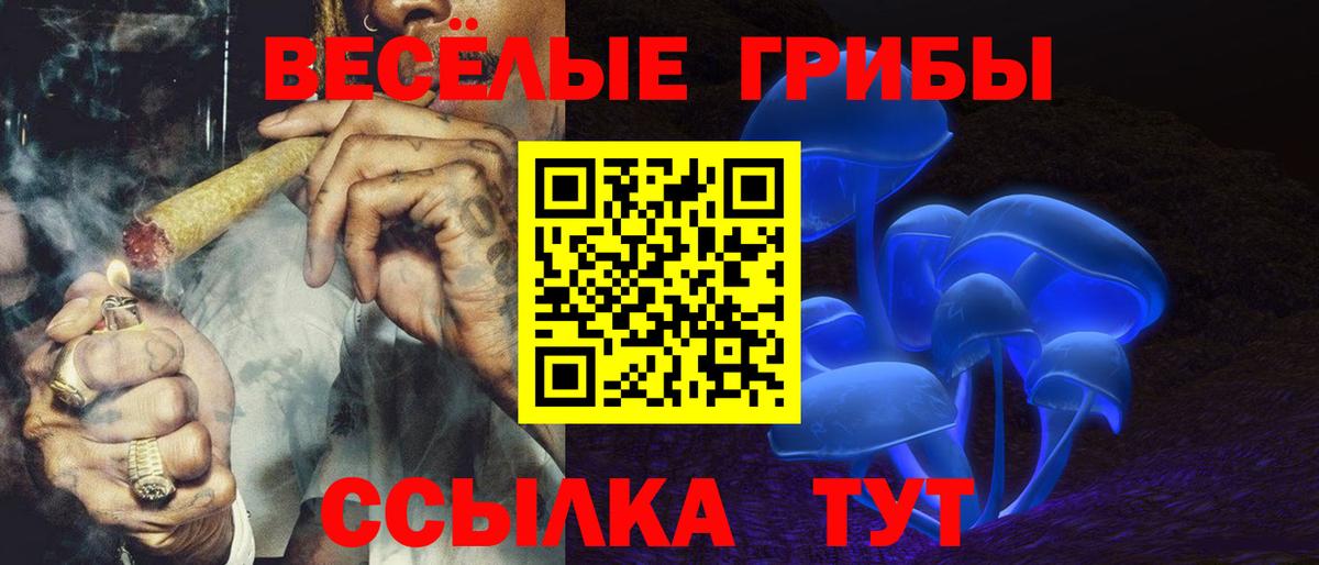 Свободный  Галлюциногенные грибы Psilocybe  Вход с VPN 