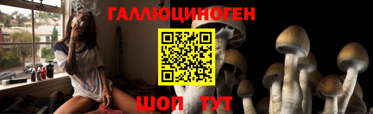 Псилоцибиновые грибы GOLDEN TEACHER Свободный